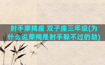 射手摩羯座 双子座三年级(为什么说摩羯是射手躲不过的劫)
